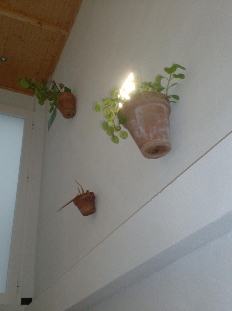 Rural Rocio Hotel El Rocío Eksteriør billede